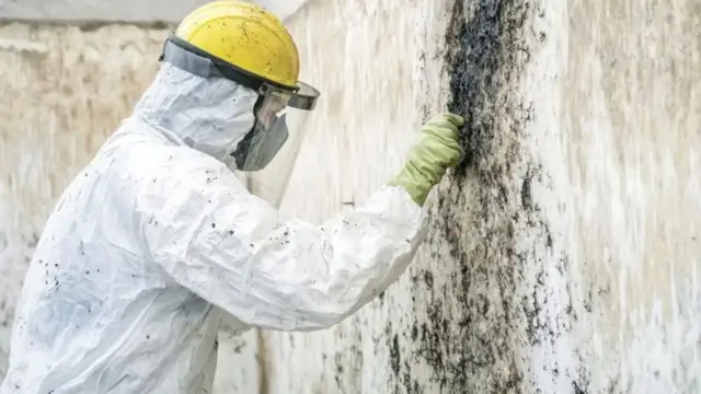 Worker in a protective suit and face shield scrubbing black mold off a wall