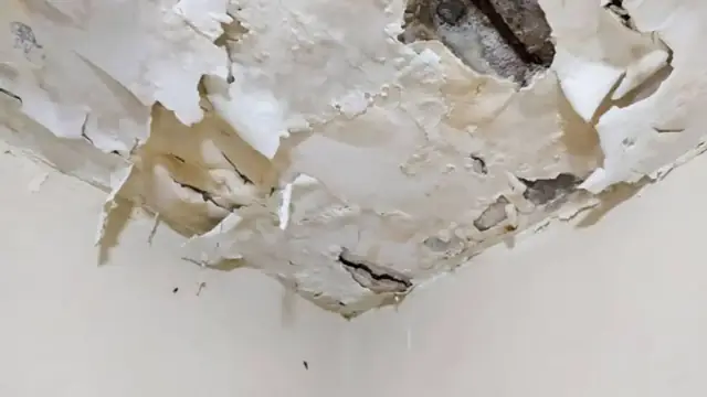 Ceiling corner with large sheets of peeling, water-damaged paint