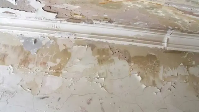 Peeling paint and water staining along the top of a wall below crown molding