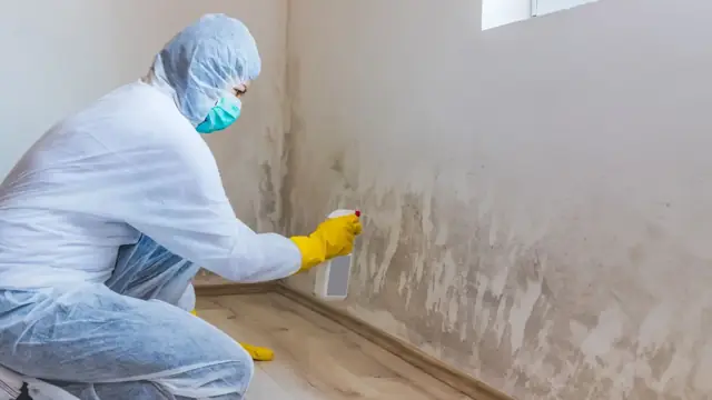 Worker in a protective suit and gloves treating a mold stain at the base of a wall