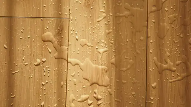 Water droplets standing on a wood plank floor
