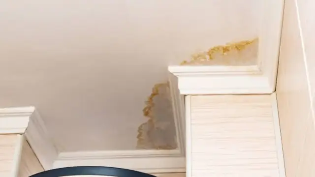 Small yellow-brown water stain at the corner where a ceiling meets the wall trim