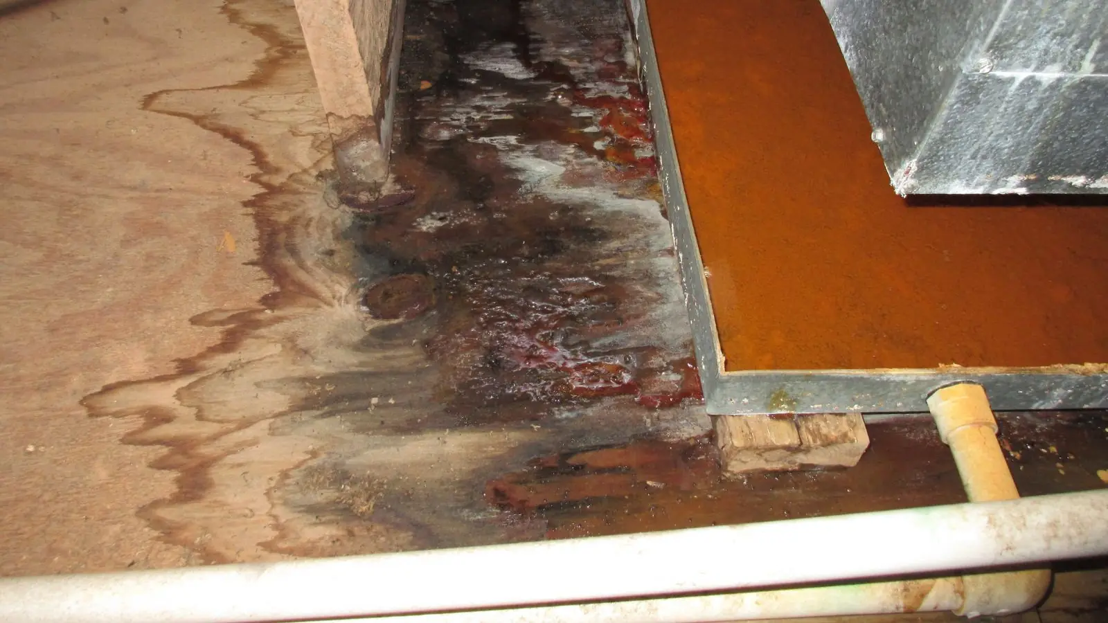 Dark water staining and lifted flooring boards along a baseboard pipe